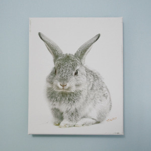 아트캔버스- 버니 (art canvas #T009 - Bunny)