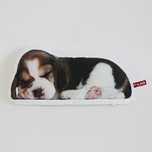 sleepy beagle